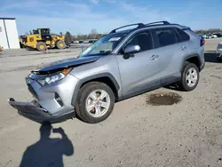 Salvage cars for sale at Lumberton, NC auction: 2021 Toyota Rav4 XLE