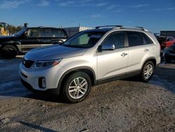 Salvage cars for sale at Arcadia, FL auction: 2014 KIA Sorento LX