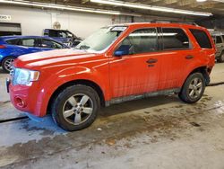 Salvage cars for sale at Wheeling, IL auction: 2009 Ford Escape XLT