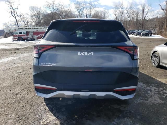 2025 KIA Sportage EX