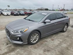 Hyundai salvage cars for sale: 2019 Hyundai Sonata SE