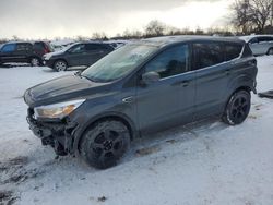 Salvage cars for sale from Copart Ontario Auction, ON: 2019 Ford Escape SE