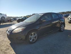 Ford Focus salvage cars for sale: 2014 Ford Focus SE