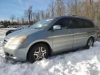 2005 Honda Odyssey EXL