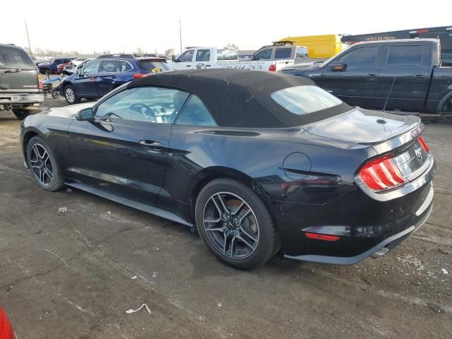 2019 Ford Mustang