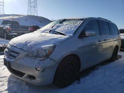 Salvage cars for sale at Littleton, CO auction: 2006 Honda Odyssey EXL