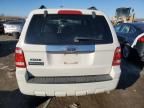 2009 Ford Escape Limited