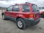 2005 Ford Escape XLT