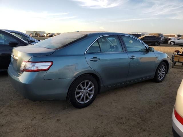 2011 Toyota Camry Hybrid