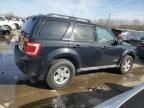 2008 Ford Escape Limited