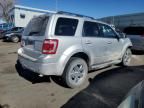 2009 Ford Escape Limited