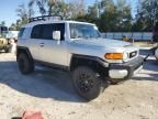 2007 Toyota FJ Cruiser