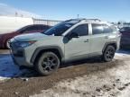 2021 Toyota Rav4 TRD OFF Road