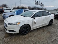 Salvage cars for sale at Columbus, OH auction: 2013 Ford Fusion SE