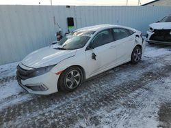 Honda Vehiculos salvage en venta: 2019 Honda Civic LX