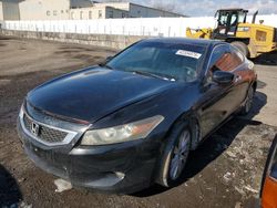 Vehiculos salvage en venta de Copart New Britain, CT: 2008 Honda Accord EXL