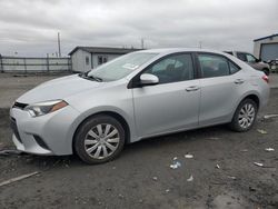 Toyota Vehiculos salvage en venta: 2014 Toyota Corolla L