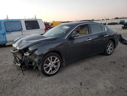 Salvage cars for sale at Harleyville, SC auction: 2012 Nissan Maxima S