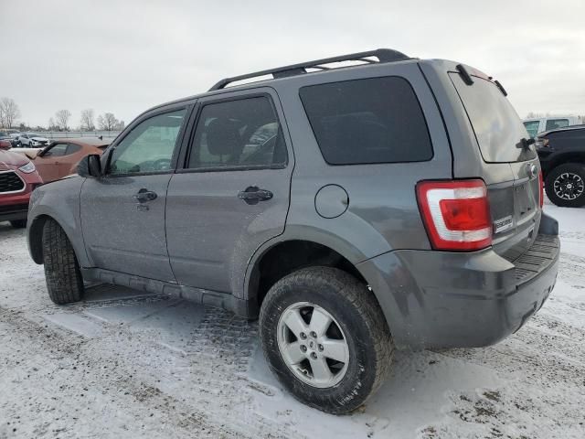 2010 Ford Escape XLT