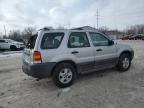 2005 Ford Escape XLS