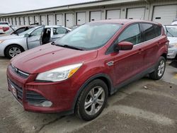 Ford Escape se salvage cars for sale: 2013 Ford Escape SE