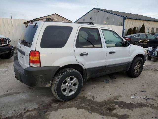 2007 Ford Escape XLT