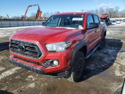 Toyota salvage cars for sale: 2023 Toyota Tacoma Double Cab