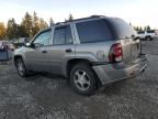 2007 Chevrolet Trailblazer LS