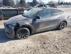 Salvage cars for sale at auction: 2022 Tesla Model Y