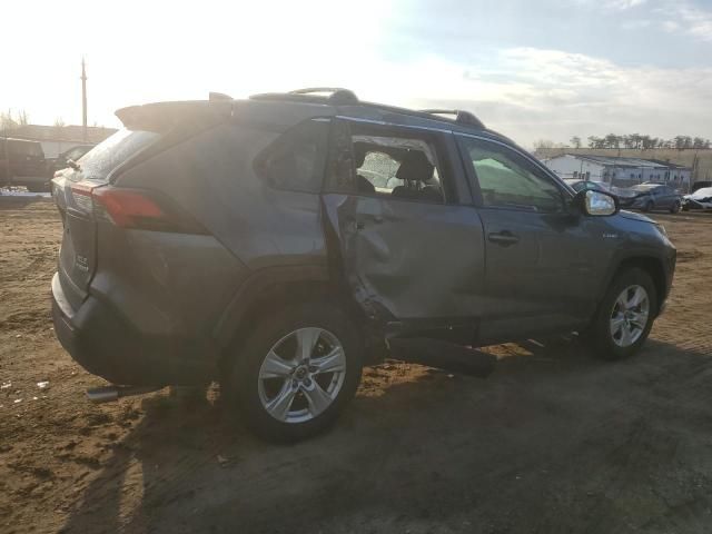 2019 Toyota Rav4 XLE