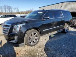 Cadillac salvage cars for sale: 2015 Cadillac Escalade ESV Luxury