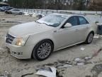 2010 Cadillac CTS Performance Collection