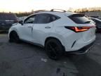 2024 Lexus NX 350 Luxury