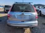 2010 Honda CR-V EXL