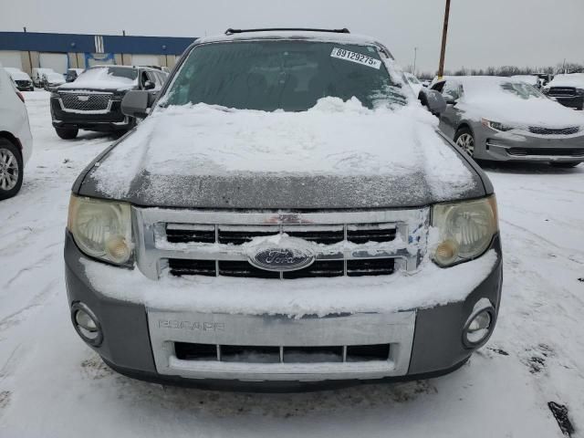 2009 Ford Escape Limited