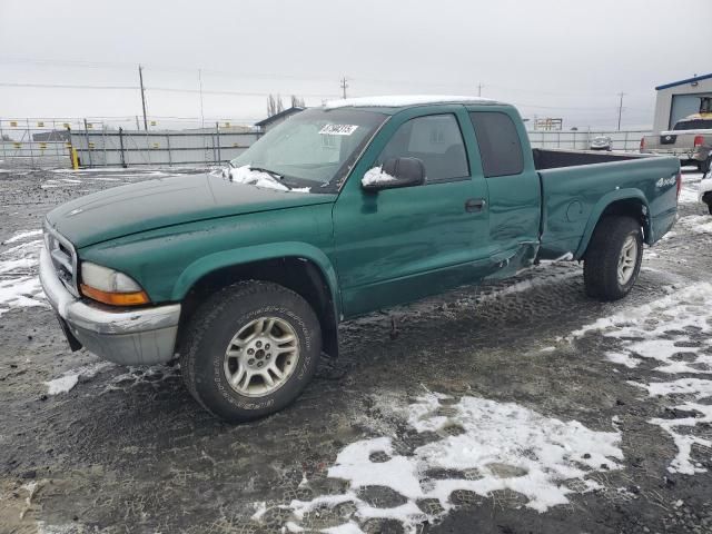 2004 Dodge Dakota SLT