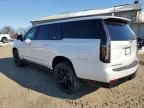 2024 Cadillac Escalade ESV Sport Platinum