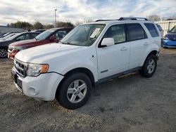 Salvage cars for sale at Sacramento, CA auction: 2008 Ford Escape HEV