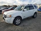 2008 Ford Escape HEV