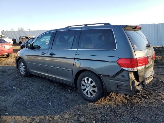 2008 Honda Odyssey EX