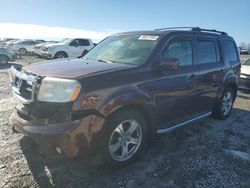 Salvage cars for sale at Earlington, KY auction: 2013 Honda Pilot EXL