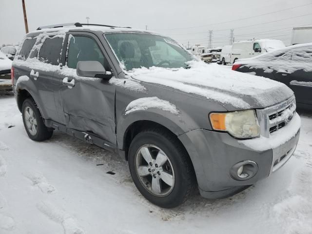 2009 Ford Escape Limited