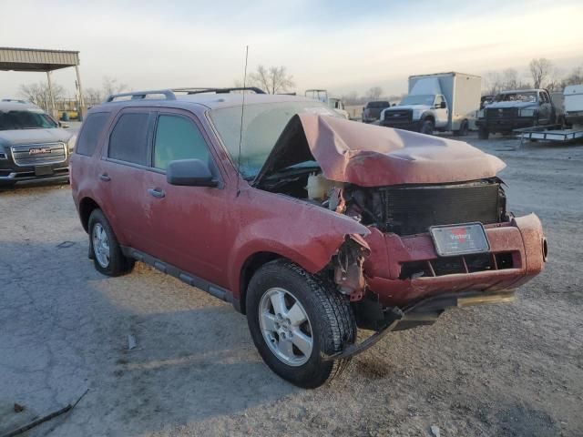 2012 Ford Escape XLT