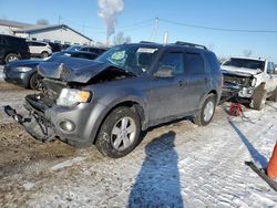 Ford salvage cars for sale: 2009 Ford Escape XLT