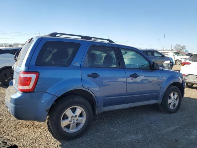 2009 Ford Escape XLT