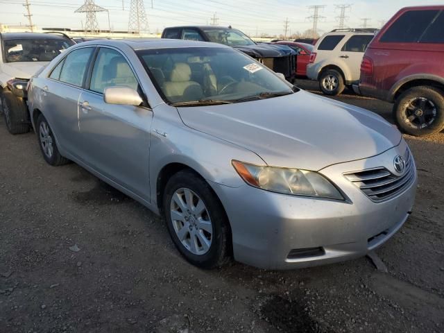 2009 Toyota Camry Hybrid