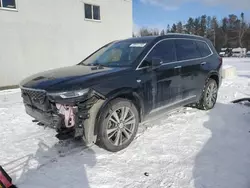 Carros salvage a la venta en subasta: 2020 Cadillac XT6 Premium Luxury