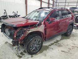 Salvage cars for sale at Lawrenceburg, KY auction: 2024 Toyota Rav4 Adventure