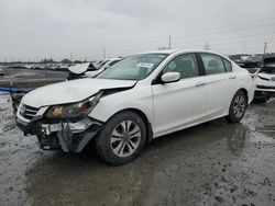 Salvage cars for sale at Eugene, OR auction: 2013 Honda Accord LX