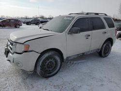 Salvage cars for sale at London, ON auction: 2009 Ford Escape XLT